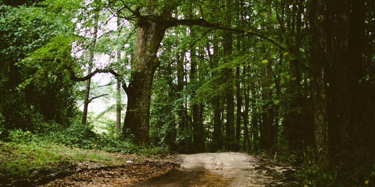 爱编程青少儿编程培训靠谱吗？家长得看清这几点