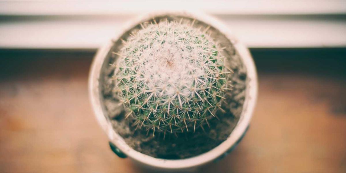 Scratch中的变量设置为空值：这操作真的有必要吗？