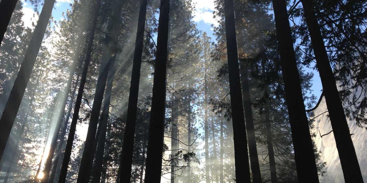 Scratch中文字体支持是否存在技术局限？