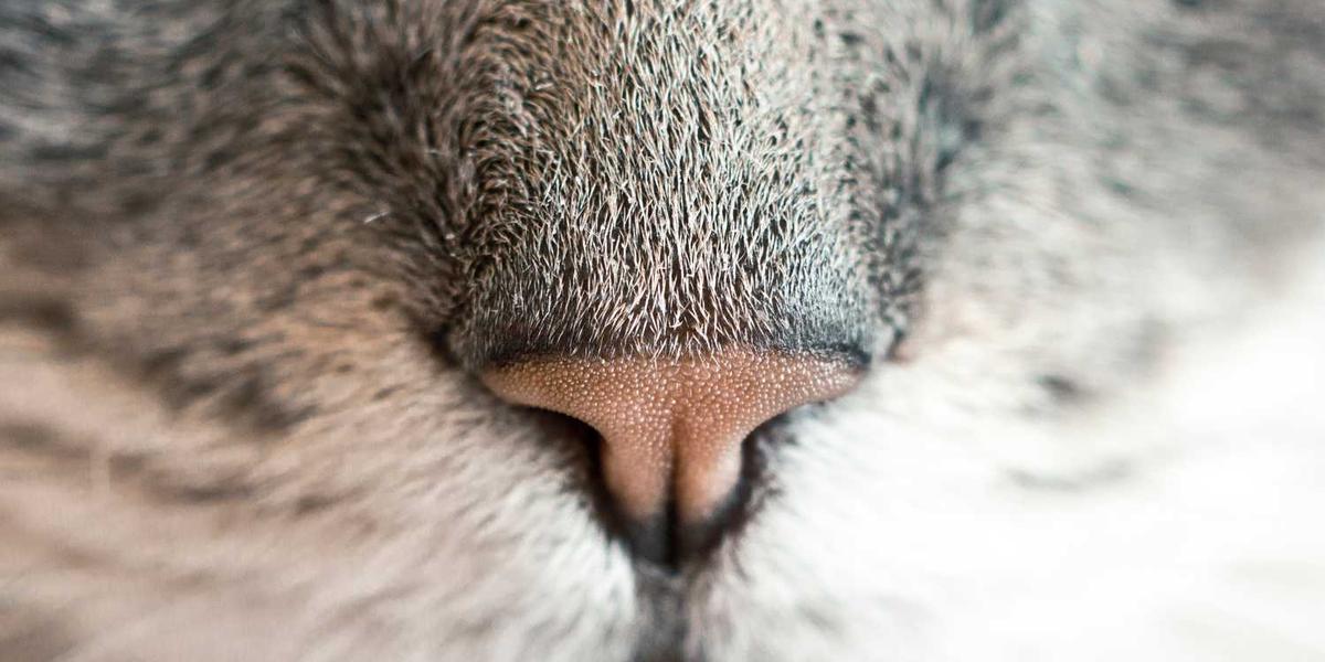 少儿编程课程介绍视频怎么拍才更吸引孩子？