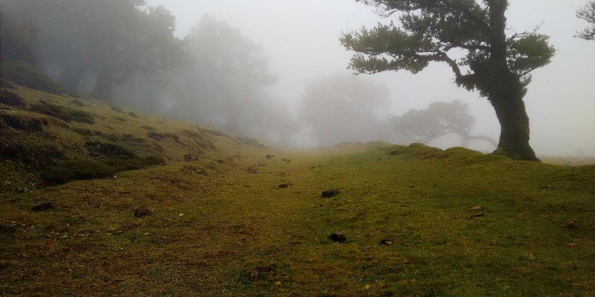 少儿编程入门课程哪些更容易上手？