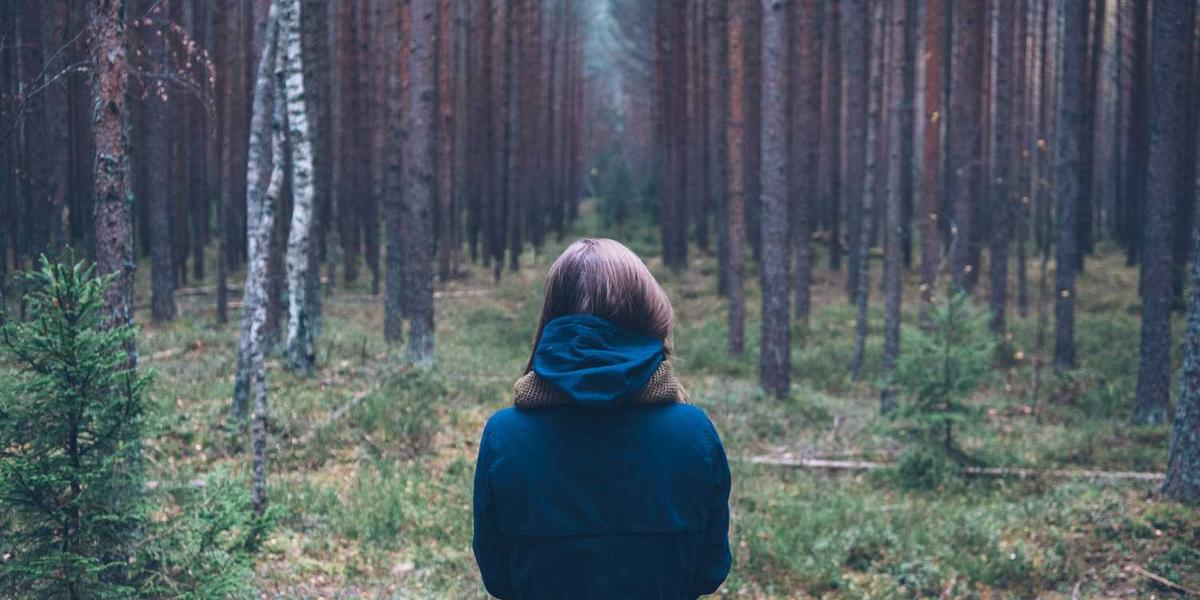 中国少儿编程机构十强榜单真的可靠吗？