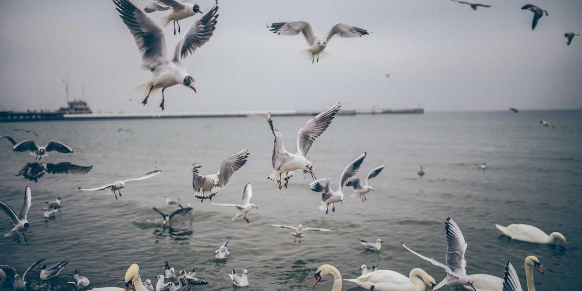 龙岩少儿编程机构的主要报名渠道有哪些？