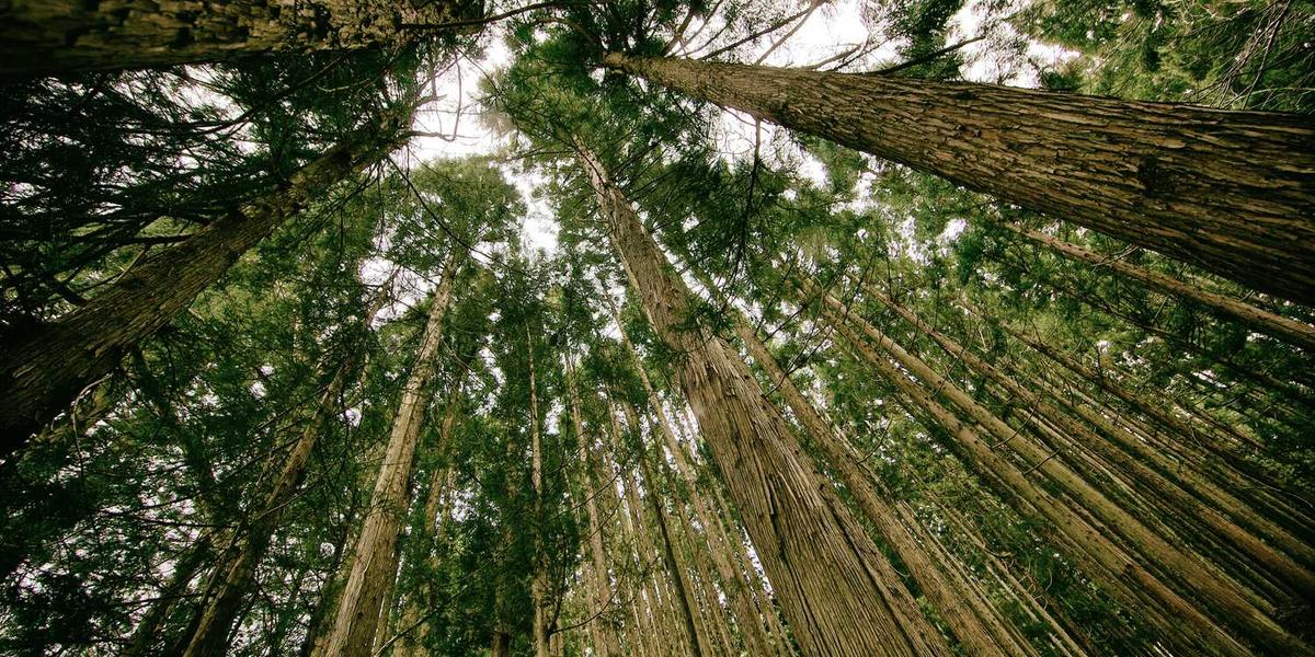 如何撰写一份高效吸引学员的少儿编程寒假培训班招生简章？