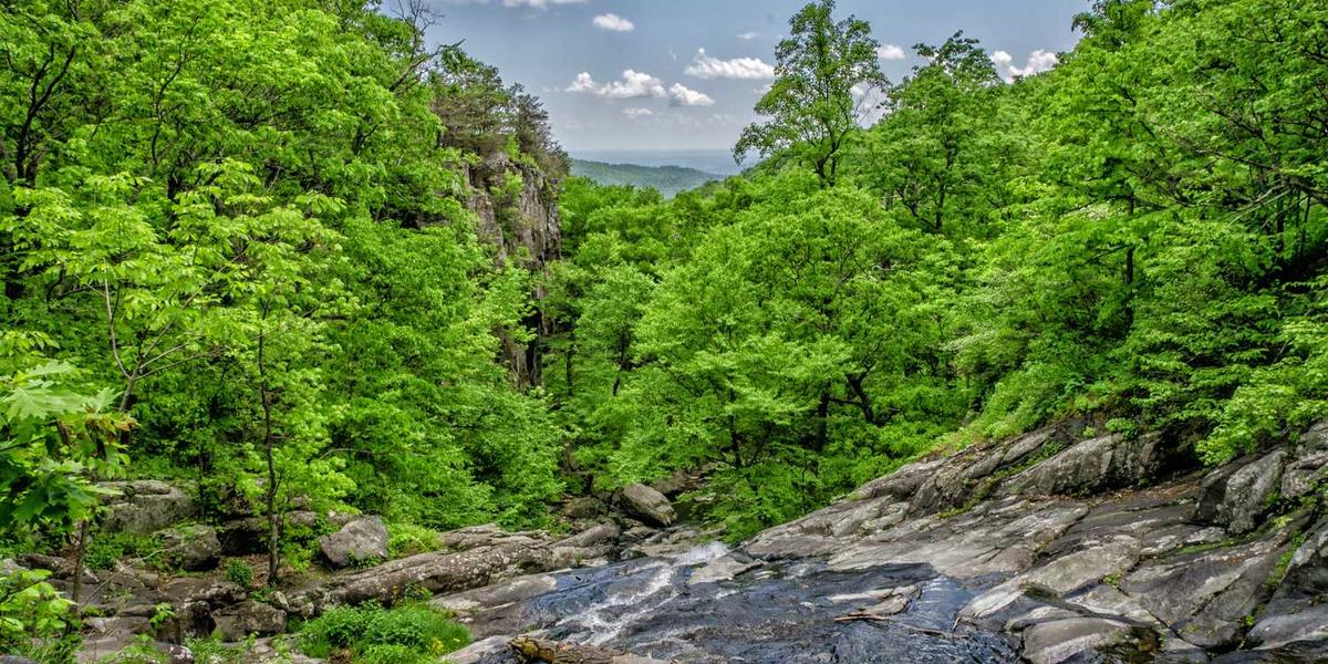 珠海少儿编程机构有哪些？学费贵不贵？