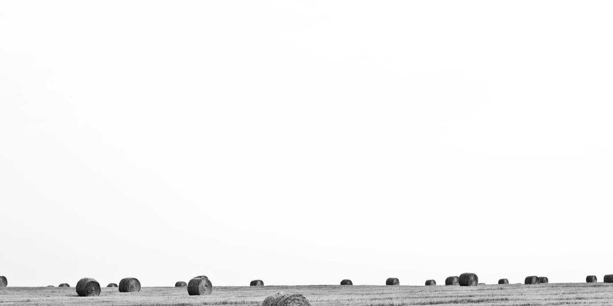 酷码星球和童程童美，编程课选哪家更省心？