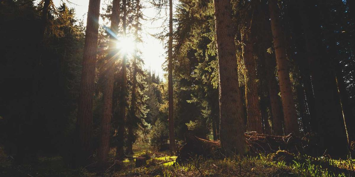 Scratch游戏中得分如何成为速度的隐形推手？