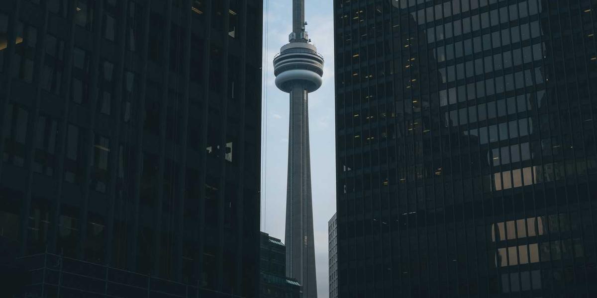 贝尔少儿编程官网入口网址是什么呢？