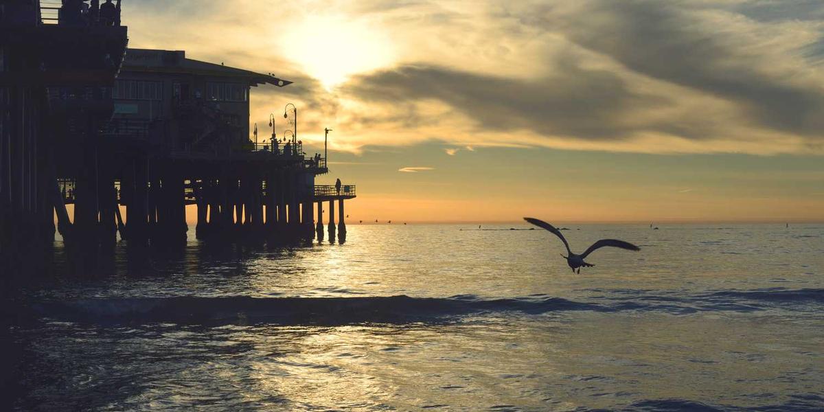 Scratch美术教学设计：如何让代码与画笔共舞？