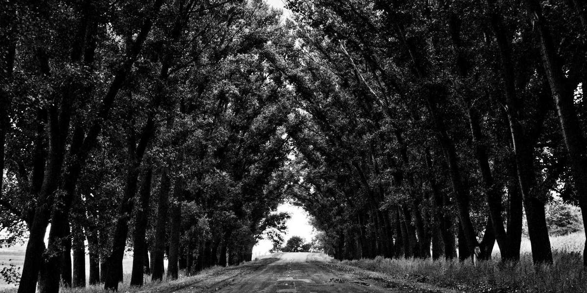 张家港少儿编程培训机构的地址和电话号码有哪些？