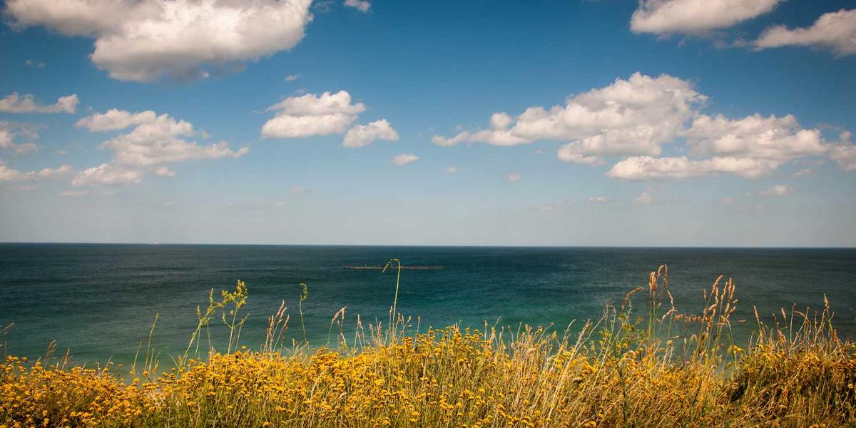 幼儿园编程课程都包含哪些内容？一图看懂趣味学习之旅