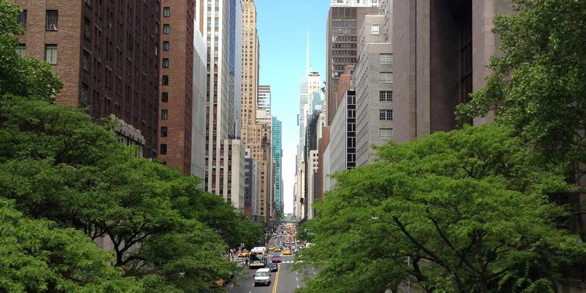 少儿编程考试究竟考些什么内容？题型和答案全揭秘