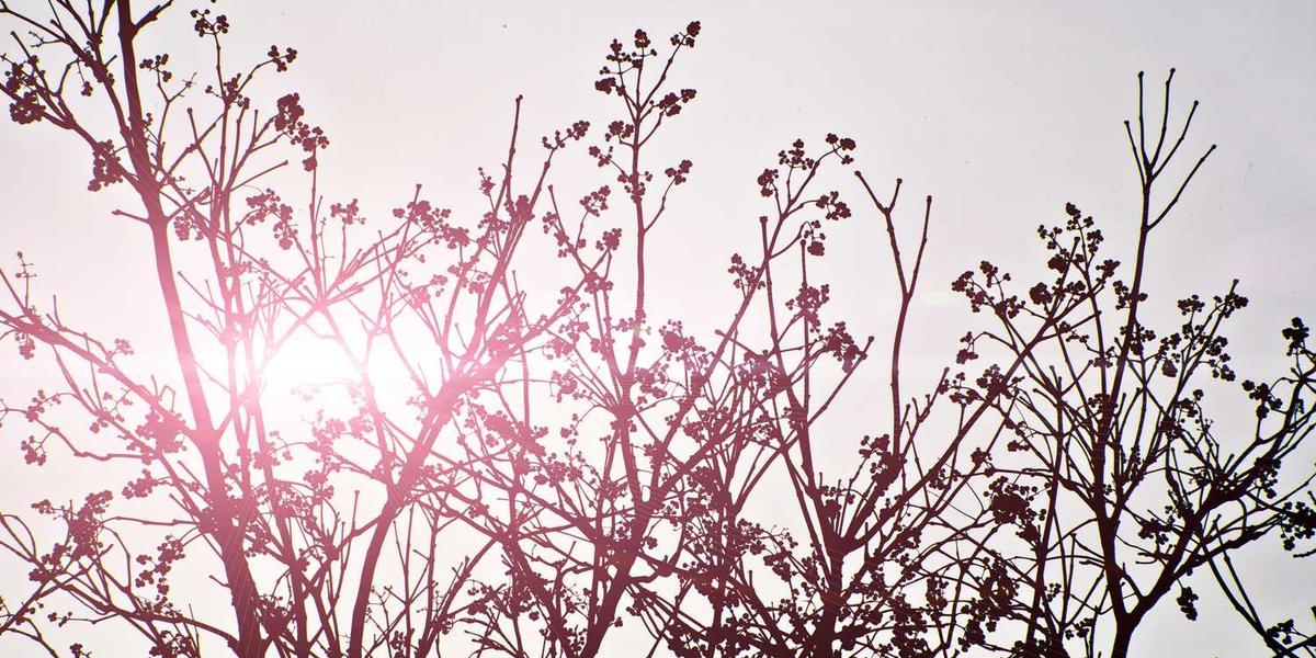 黄石家长挑编程班，到底该信排行榜还是信孩子？