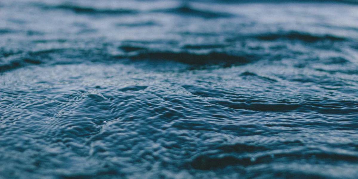 岳阳少儿编程培训学校的详细位置究竟在哪儿？