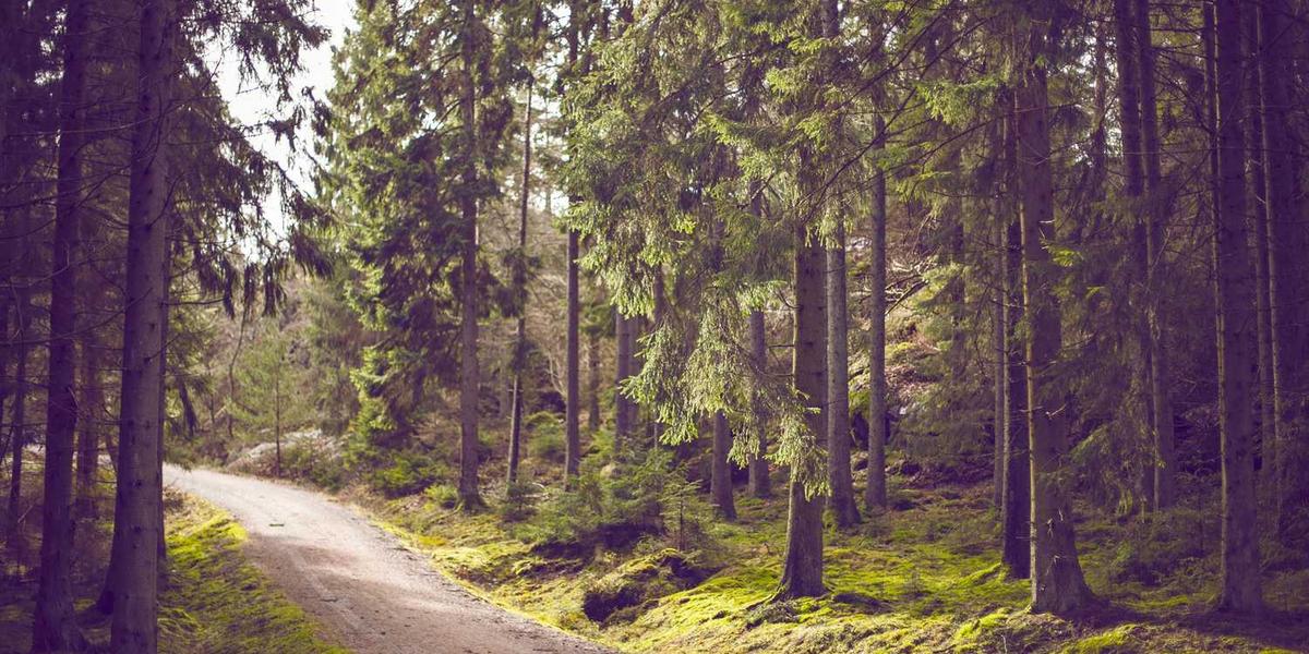 南京少儿编程十大培训机构有哪些？学费贵不贵呢？