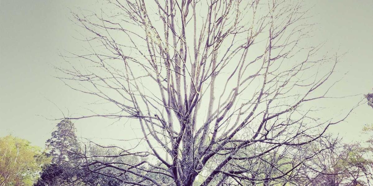 Scratch倒计时器教学：为什么学生们总想‘倒计时’下课？