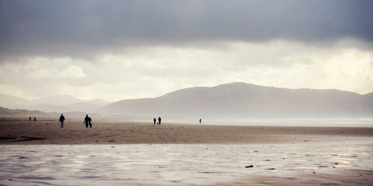 如何高效获取少儿编程素材图片下载软件资源？