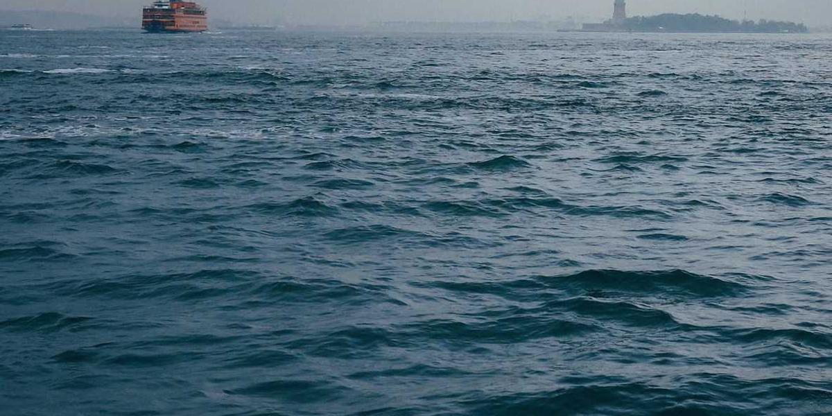 麻涌镇的编程小子们到底去哪儿学？