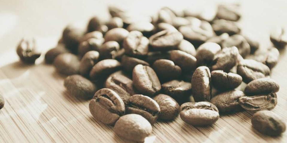 兰州安宁少儿编程培训机构地址电话号码是多少？