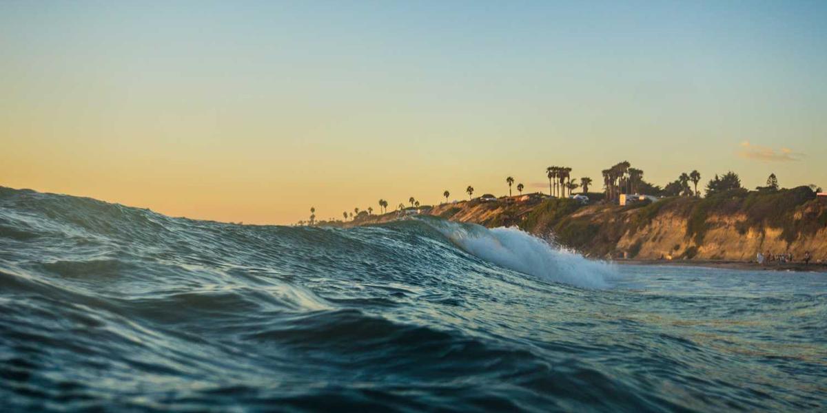 如何查询郑州上街区少儿编程培训学校的电话和地址？