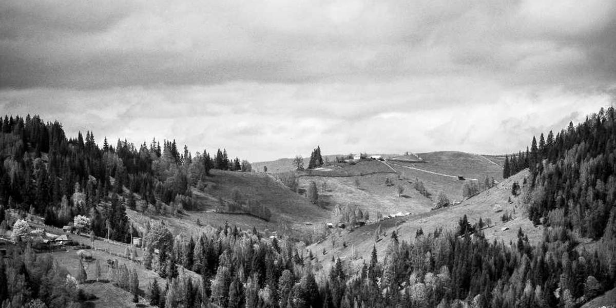 Scratch编程教育中，学科网题库如何发挥作用？