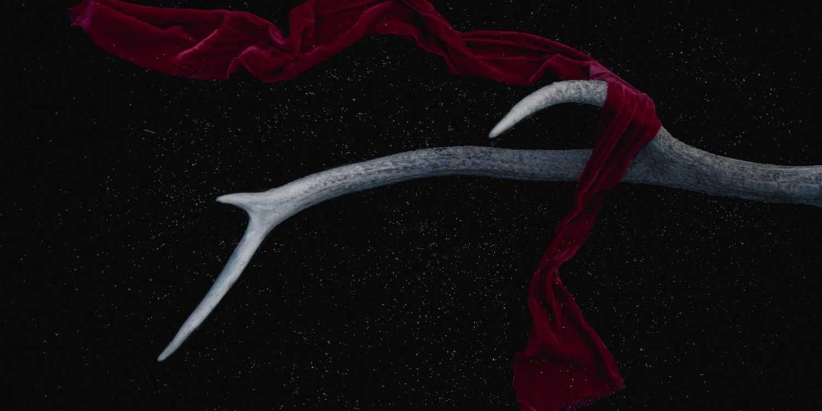 如何合法下载高清少儿编程之美图片大全素材？