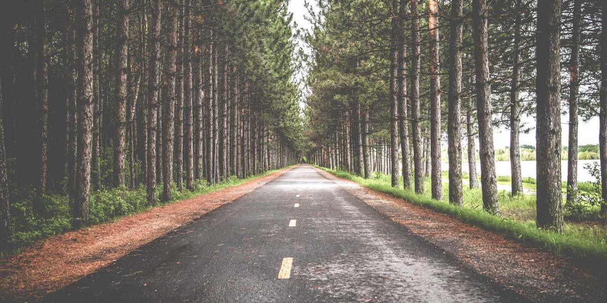 厦门少儿编程培训班招生电话如何查询？