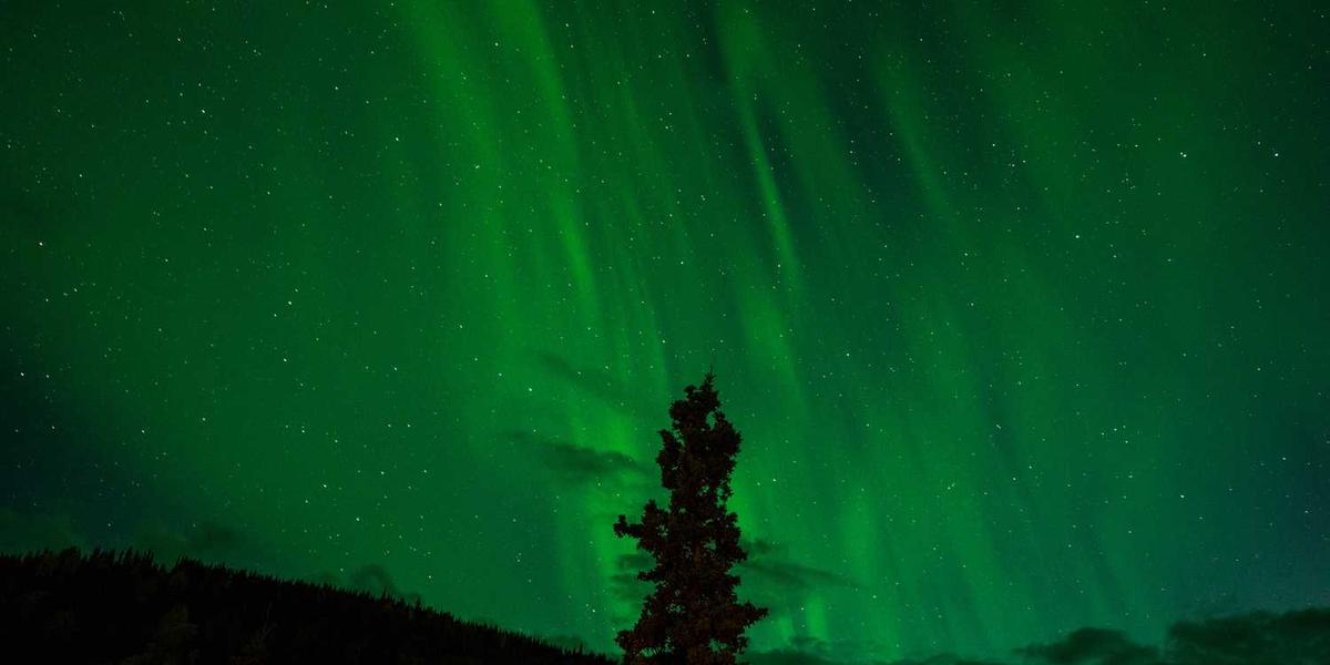 如何在小学生创客教育中优化Scratch课程设计？