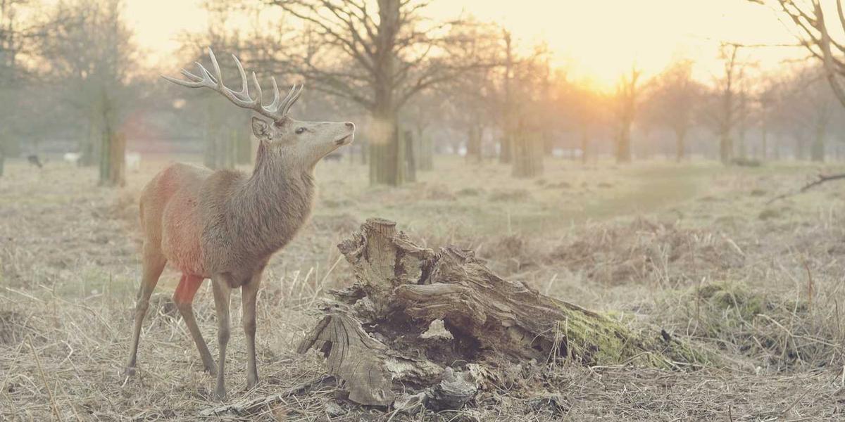 Scratch切水果游戏的核心编程元素是什么？