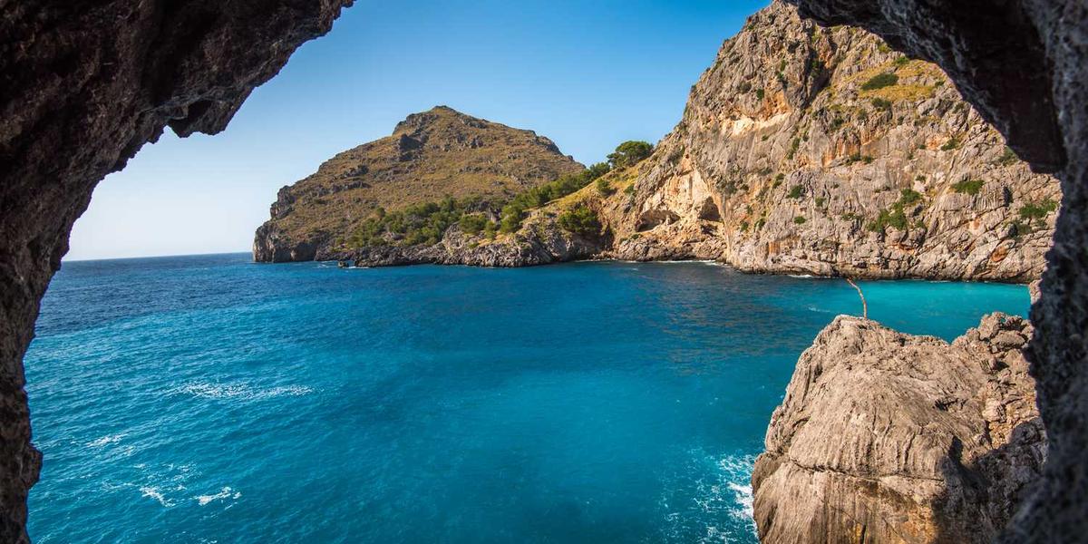 如何通过视频教学有效介绍少儿编程课程？