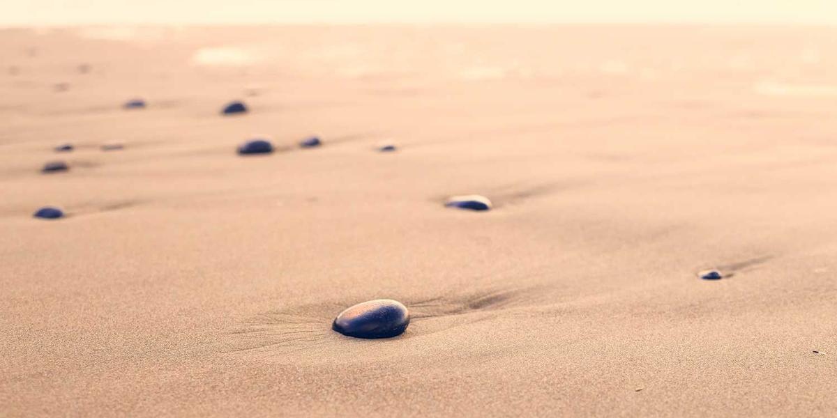 香河少儿编程培训学校地址查询：官网如何找？