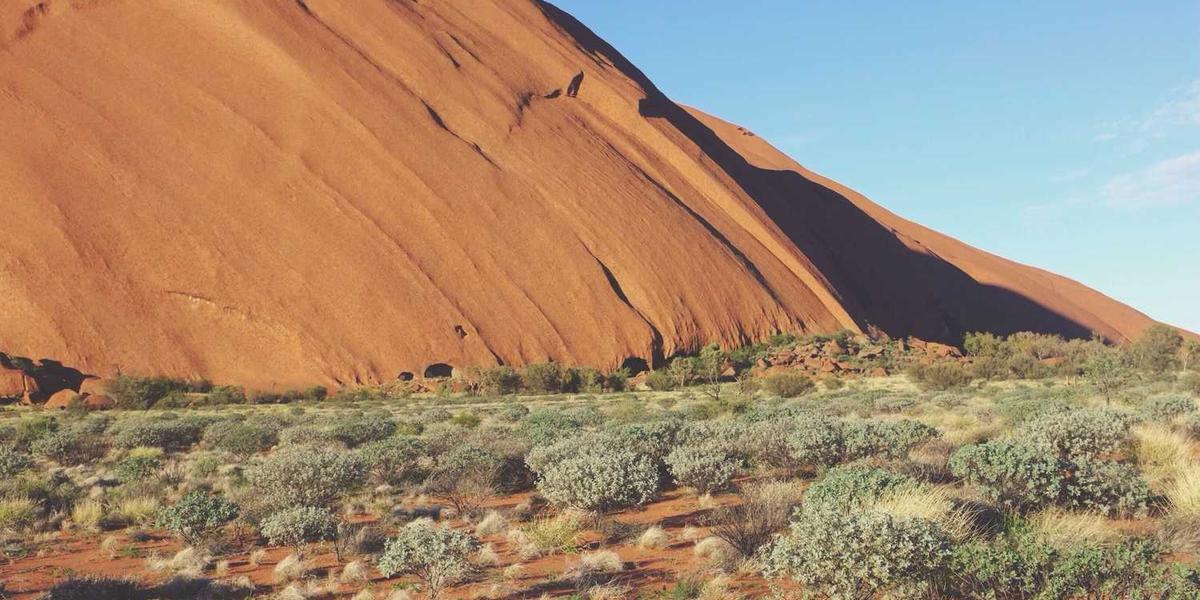 Scratch如何模拟食品安全教育概念？