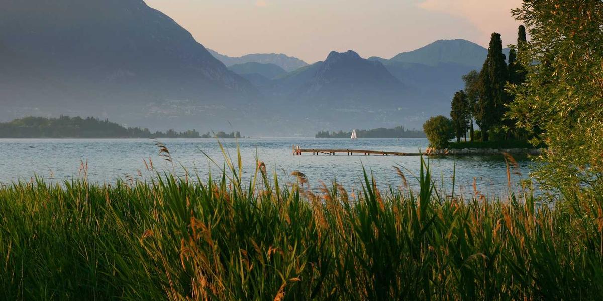 女生学少儿编程课程，Scratch还是Python更合适？