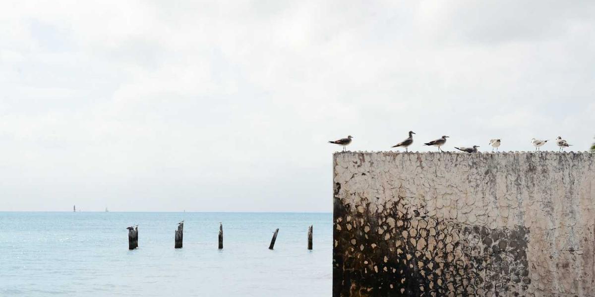 南昌少儿编程培训机构，谁家能让孩子考试加分拿证书？