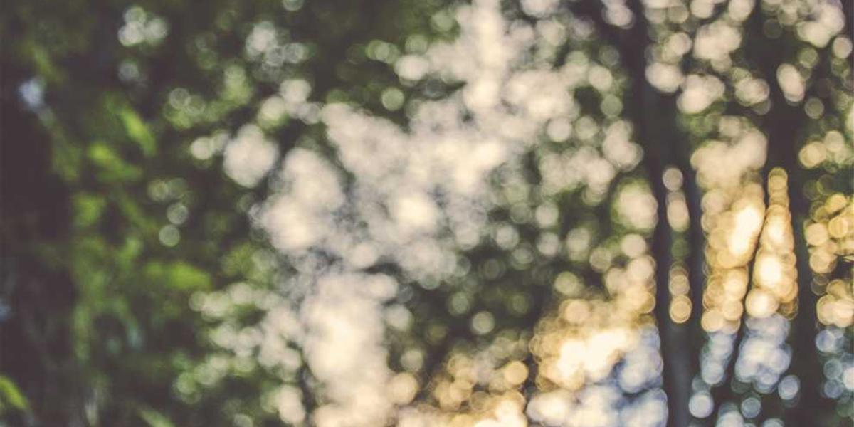 少儿编程语言教学方法在视频教学中有哪些独特优势？