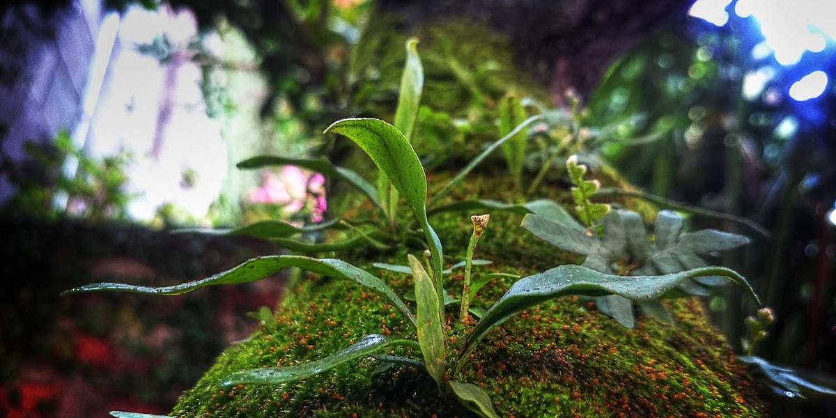 张店区少儿编程培训班的地址和电话如何获取？