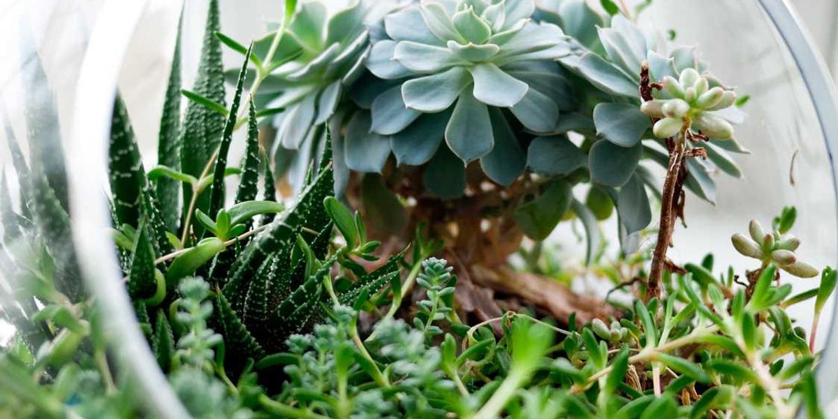 瓦力工厂少儿编程培训一年多少钱？