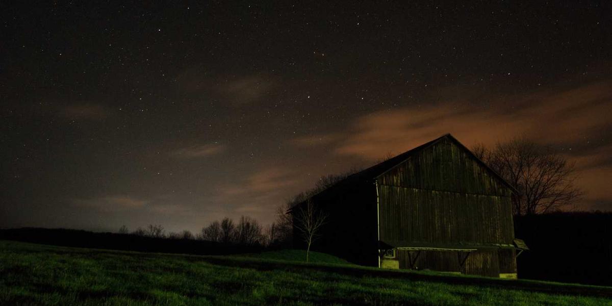 随州少儿编程培训学校有哪些招生渠道？