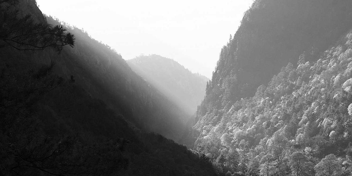 成都青冠少儿编程培训学校的联系电话如何获取？