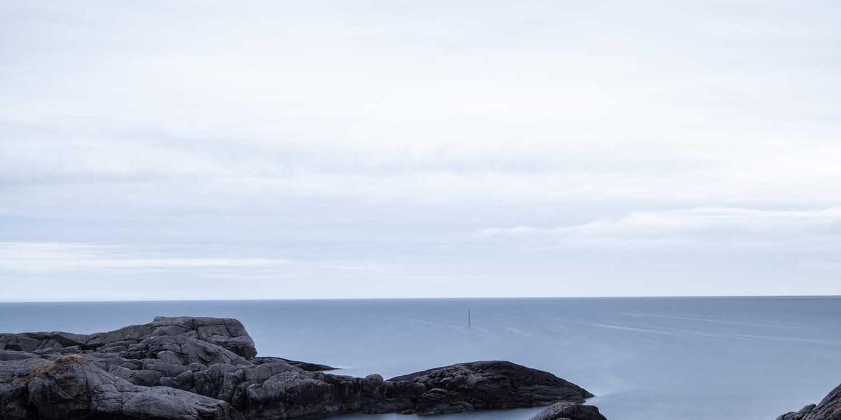 射阳少儿编程培训机构如何选择更可靠？