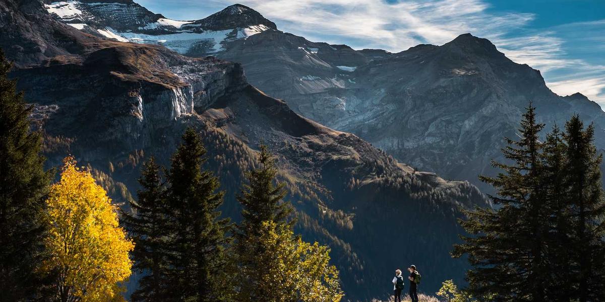 Scratch中背景编辑的功能局限与优化途径有哪些？