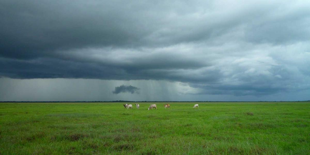 Scratch合声效果怎么实现