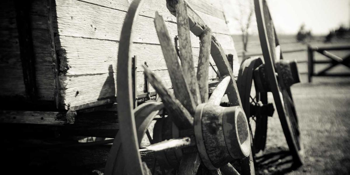 国家为何将少儿编程纳入教育体系？