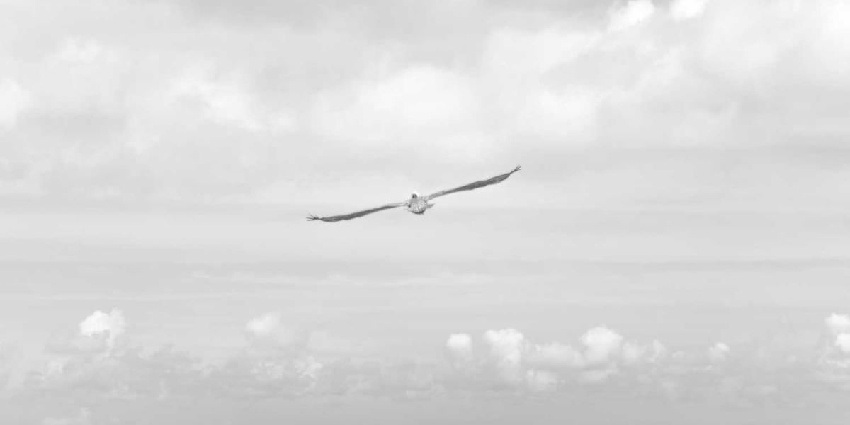 核桃少儿编程app官网下载安装真的像传说中那么轻松吗？