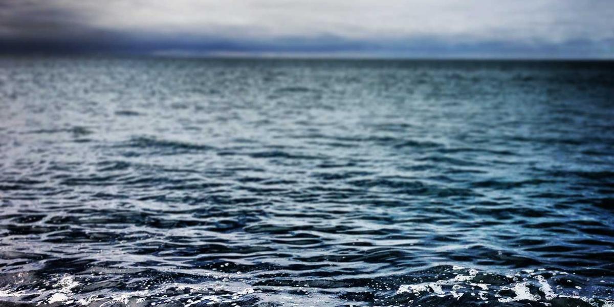 北京少儿编程培训学费一年到底要花多少钱？