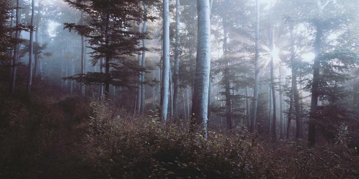 如何安全获取少儿编程英语趣味教程视频免费资源？