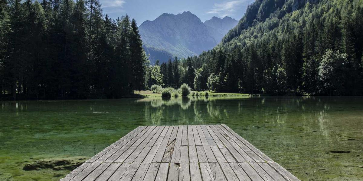 少儿编程竞赛获奖作品有哪些名字好听又富有创意？