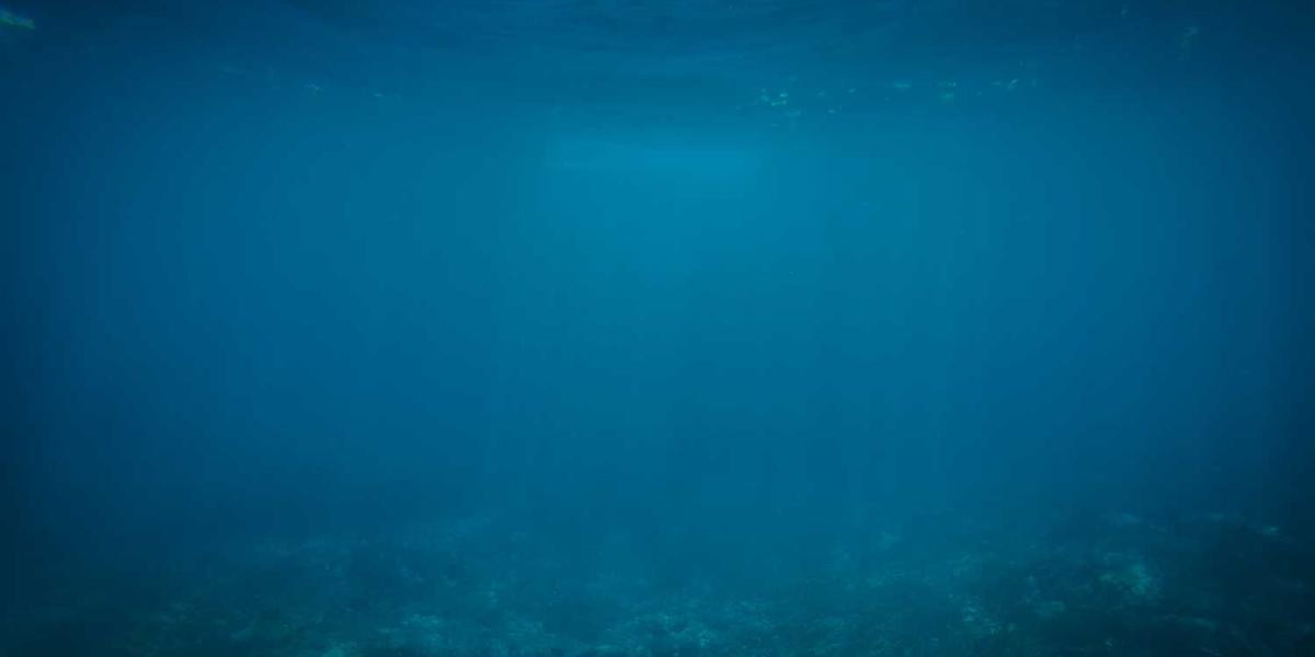 少儿编程教育市场真的那么火热吗？