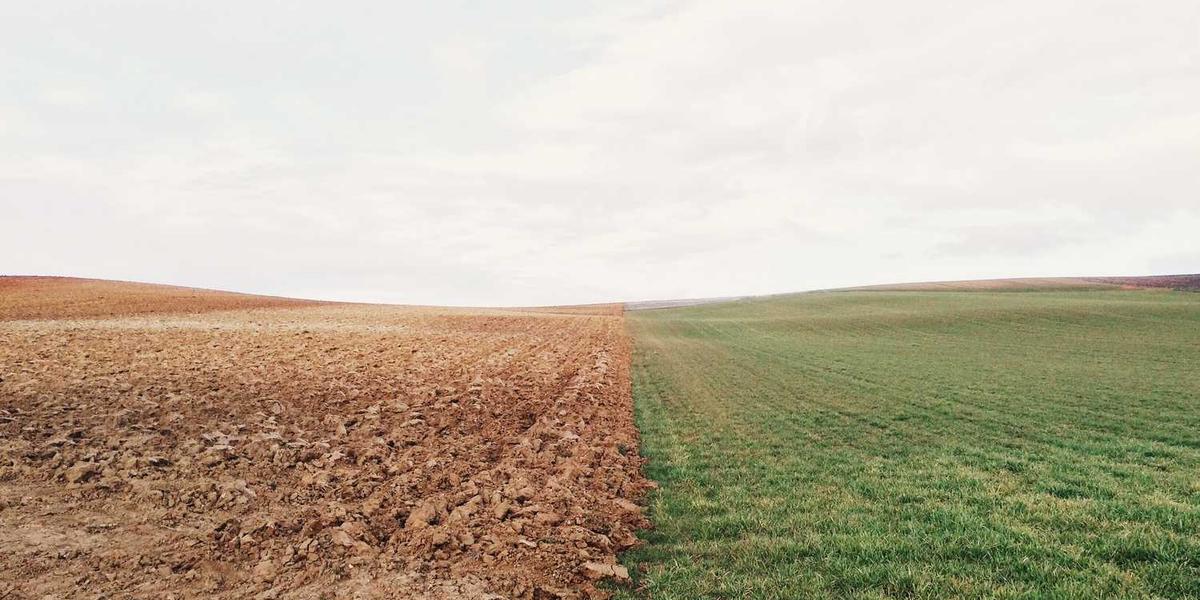 小孩学编程到底值不值？