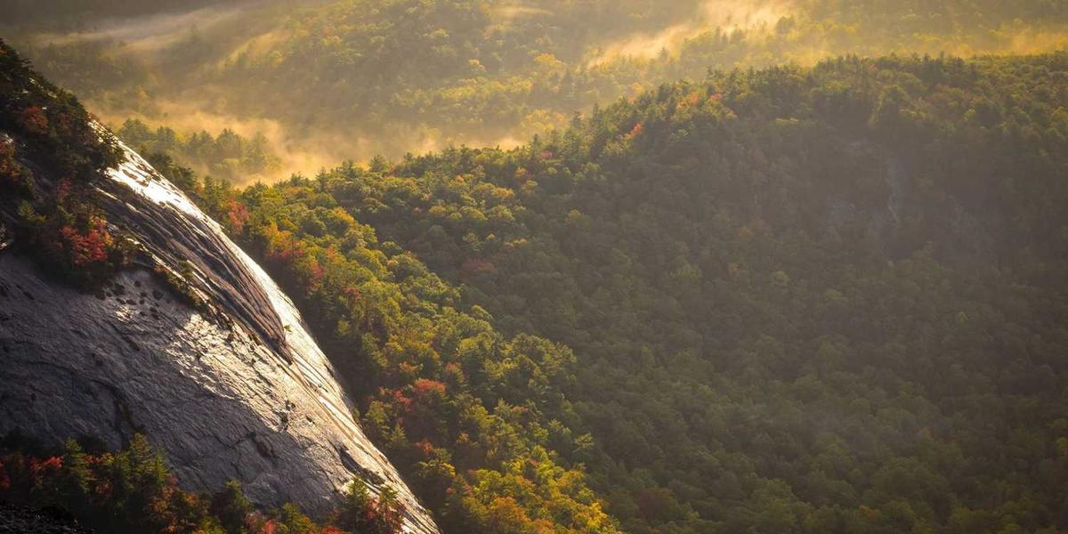 幼儿园少儿编程课程内容主要涵盖哪些核心方面？